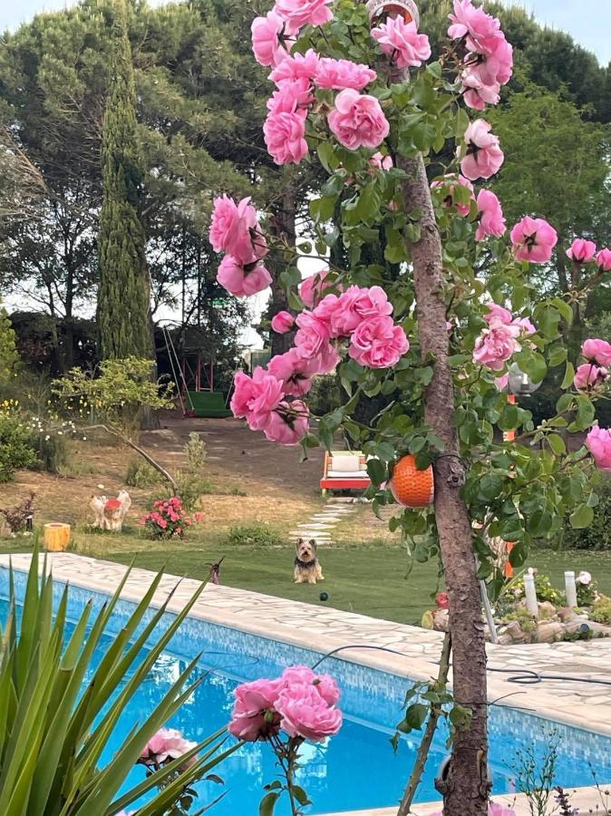 Bel Hotel Restaurant La Gentilhommiere Trebes Bagian luar foto